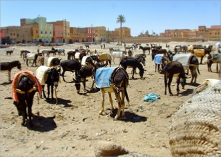 Merzouga Desert Excursion